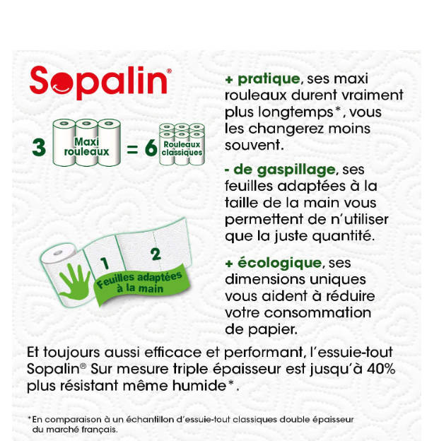 SOPALIN Essuie-tout décoré maxi rouleaux 3 rouleaux + 1 offert pas