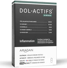 Charger l'image dans la galerie, Aragan SYNACTIFS DOLACTIFS®  Inflammatoire 20 gélules