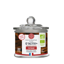 Charger l&#39;image dans la galerie, G’ACTIV BIO 100% Ginseng rouge en poudre 30g