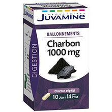 Charger l&#39;image dans la galerie, Juvamine Ballonnements Charbon