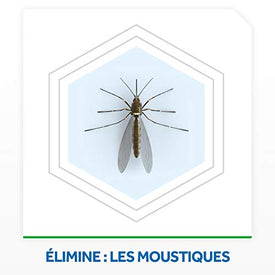 Raid Diffuseur Electrique Liquide Anti-Moustiques 45 Nuits 1 Diffuseur + 1 Recharge 27ml - Nature Linking