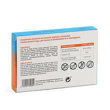 Charger l&#39;image dans la galerie, Plameca PLAN VIENTRE ACTIV